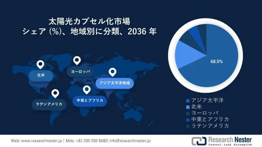 Solar Encapsulation Market Survey